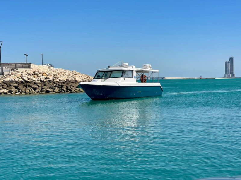 CITY VIEW – BIG BUS BOAT