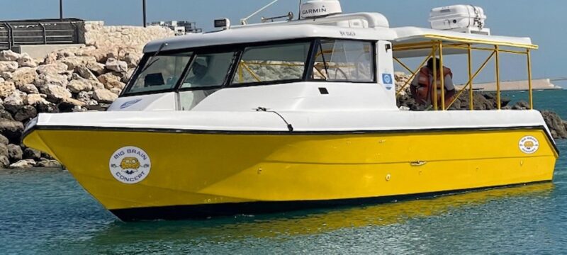 CITY VIEW – BIG BUS BOAT